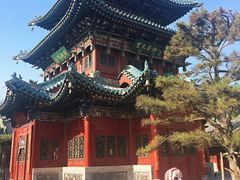 -迎泽公园