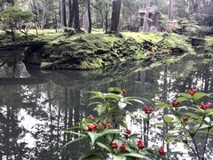 -西芳寺(苔寺)