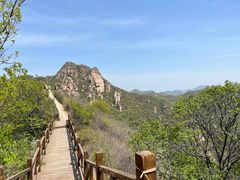 -大岭沟猕猴桃谷风景区