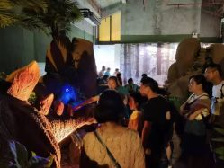 -恐龙探索乐园(磁器口店)