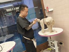 -FAELING PETS美天灵宠物(富力广场店)