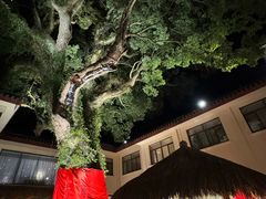 -普陀山雷迪森庄园