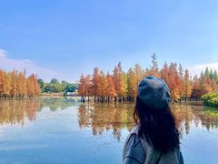 -白鹭湾湿地公园