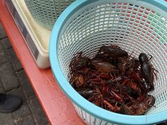-老四川小龙虾(交通三巷步行街店)