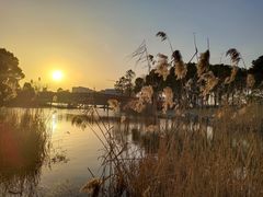 -美兰湖景区