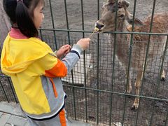 -龙达温泉生态城