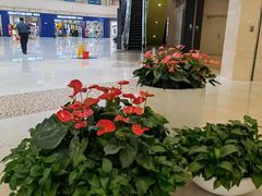 -光启城时尚购物中心