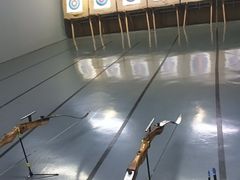 -蓝天射箭馆·专业射箭运动(诚丰广场店)