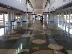 -达拉斯 沃斯堡国际机场