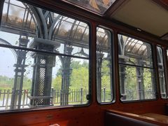 -合肥滨湖国家森林公园