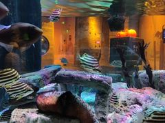 -沈阳海洋探索中心