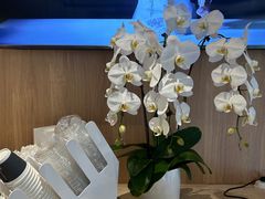 -银座仁志川·生吐司专门店(香港广场店)