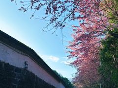 -和顺古镇