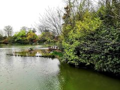 -桃花岛景观公园