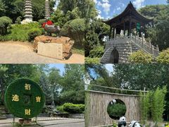-沈阳植物园