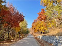 -北京西山国家森林公园