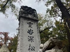 -灵谷景区
