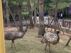 -灵玲国际马戏城