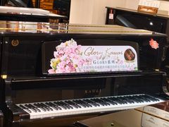 -柏斯音乐艺术中心·钢琴·吉他(上音店)