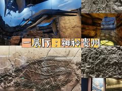 -贵州省地质博物馆