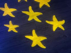 -太平洋海底世界