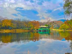 -灵谷景区
