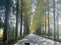 -莫干山风景区