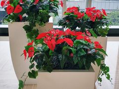 -IFC福州国际金融中心