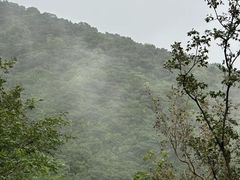 -北京西山国家森林公园