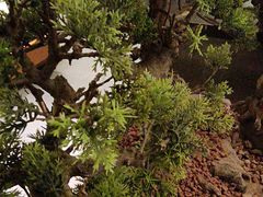 -大妙火锅·非物质文化遗产(东湖公园店)