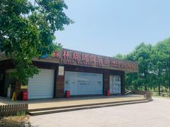 -上海海湾国家森林公园