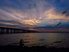 -宝安西湾红树林湿地公园