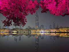 -南京圣和府邸豪华精选酒店