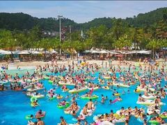 -重庆海昌加勒比海水世界