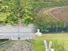 -阳澄湖半岛旅游度假区