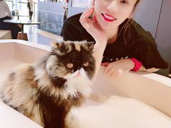 -瞄一喵猫咖(格力海岸店)