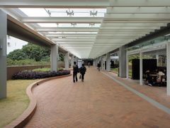 -香港大学