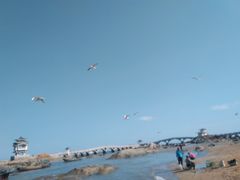-兴城海滨风景区