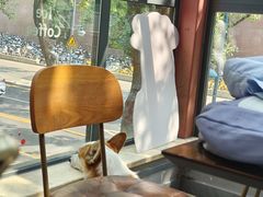 -Home Cafe