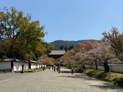 -醍醐寺