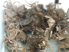 -圣罗巴甄选自助(麦凯乐店)