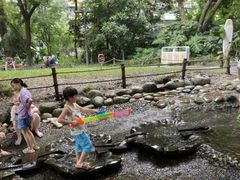 -成都市活水公园