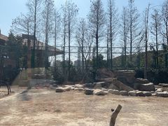 -上海野生动物园老虎餐厅