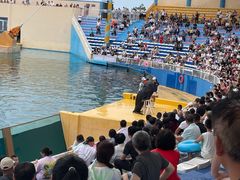 -秦皇岛乐岛海洋王国