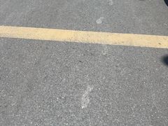 -索拉古贝(义乌北苑店)