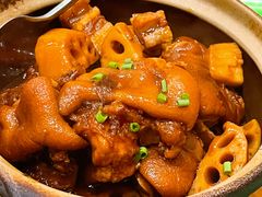 秋莲藕煲猪脚-广东大排档(国奥店)