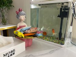 -木北造型