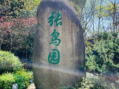 -张鸟园农家乐(张鸟园店)