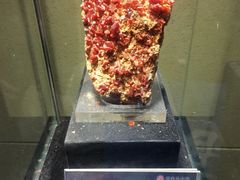 -中华赏石园