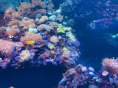 -海合安青岛极地海洋公园